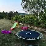 Ani Apartament *